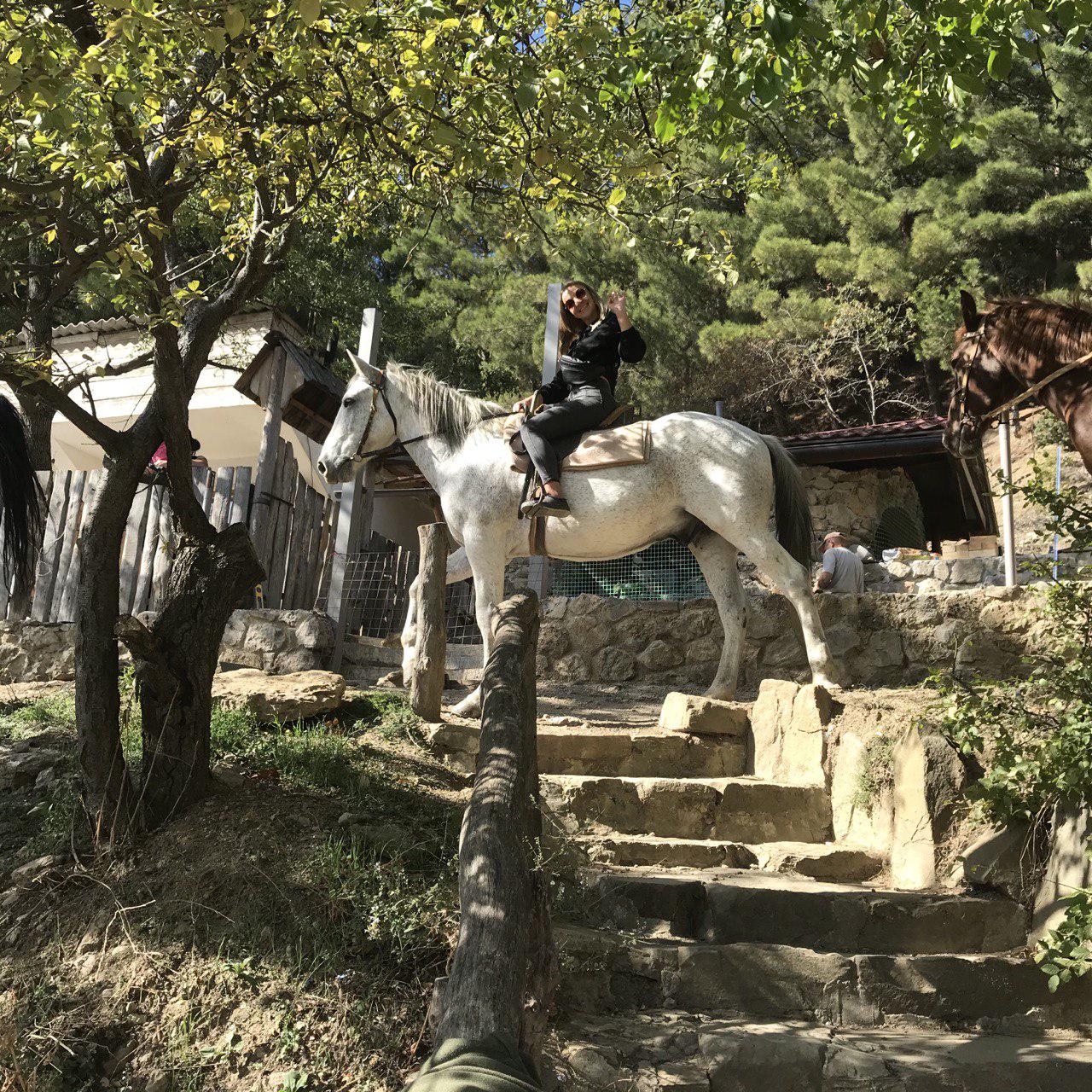 Конные прогулки в Ялте Крым