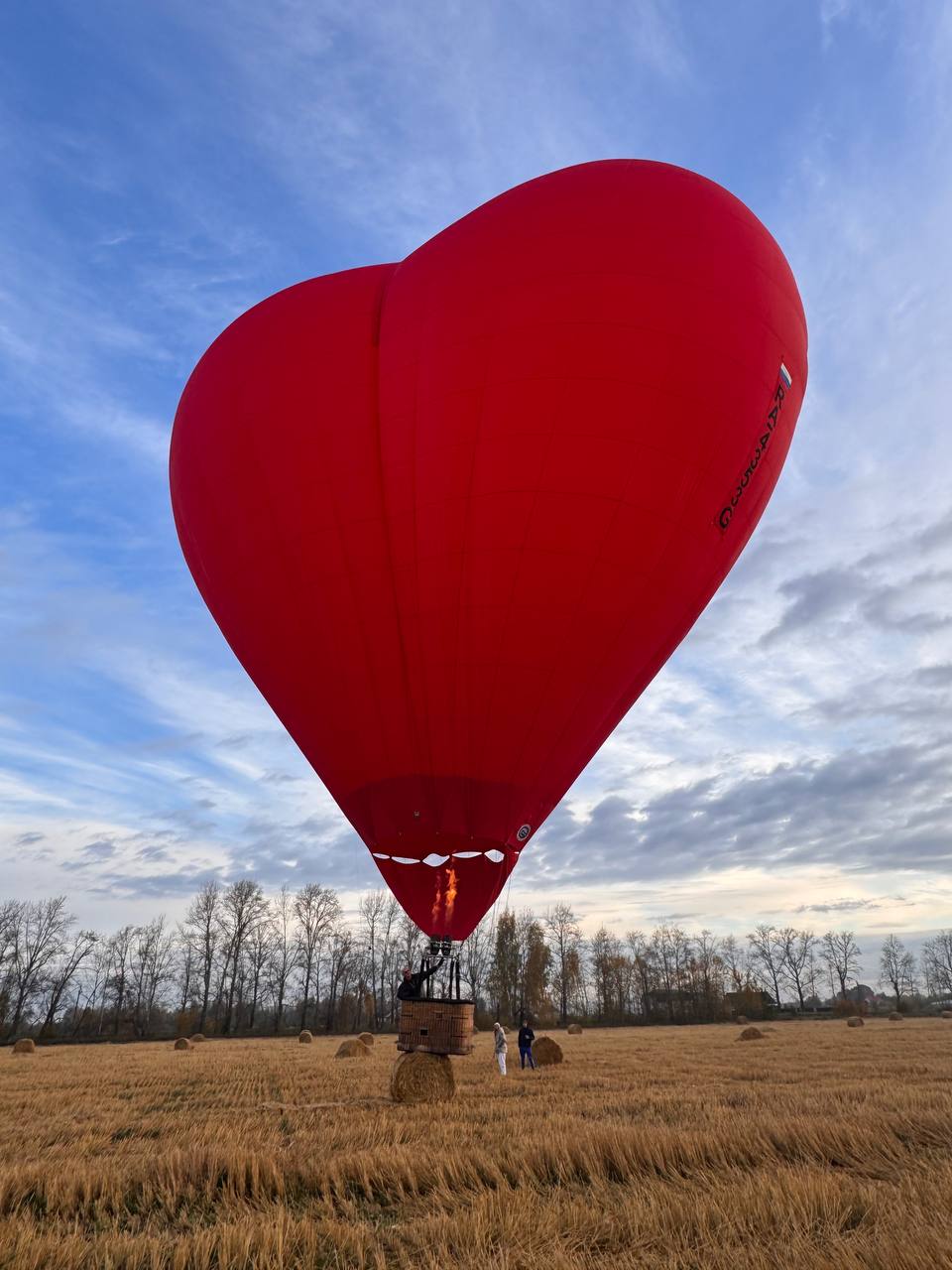 Момент предложения руки и сердца в корзине воздушного шара